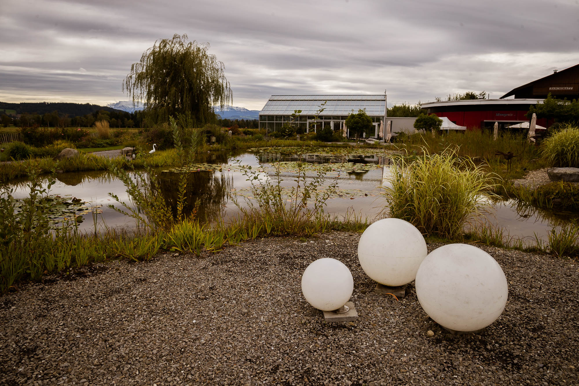 Export x3 1DX27992 Hochzeit 2020 Claudia & Thomas
